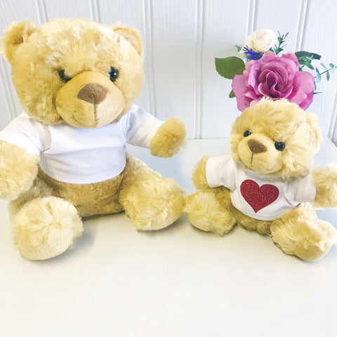 personalised teddy bear valentines good luck birthday get well cheer up exams personalised gift with name in glitter teddy bear with t shirt