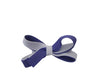 Teeny Tiny Two Tone Hair Bow