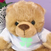 Good Luck Personalised Candy Teddy Bear
